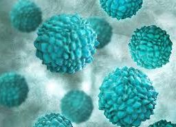 Viable Norovirus Persistence in Aquatic Microenvironments: Insights and Findings