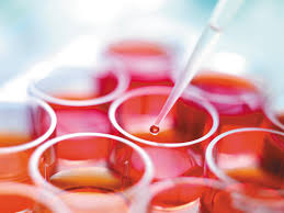Understanding Serum: Essential Knowledge for Cell Culture