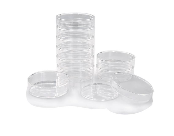 Petri Dish Usage Guidelines: Cleaning, Types & Precautions