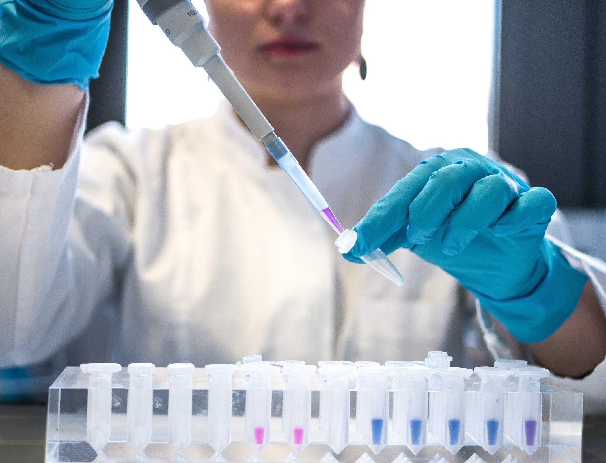 Cell Culture Applications and Their Broad Range of Fields