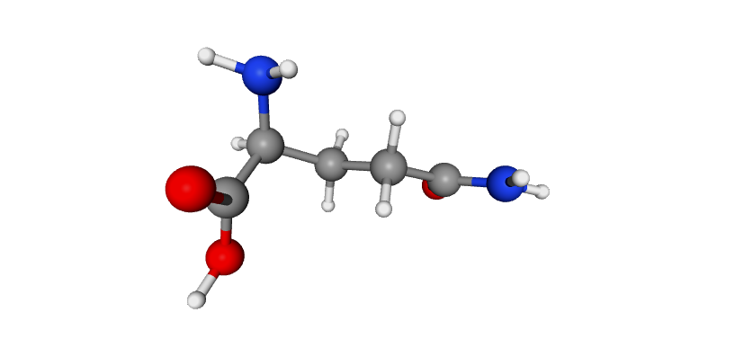 The Role of Glutamine in Cell Culture