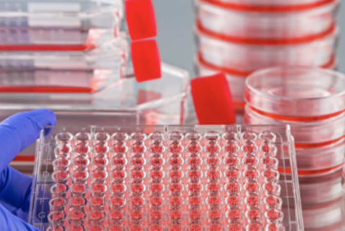 When to Use Culture Flasks vs. Multi-Well Plates for Cell Culture