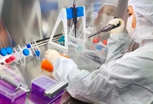 Primary Cell Culture Tips and Techniques